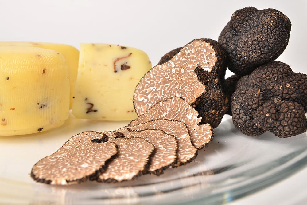 Trufflemania Truffle tasting & truffle cooking in Istria Tours Slovenia