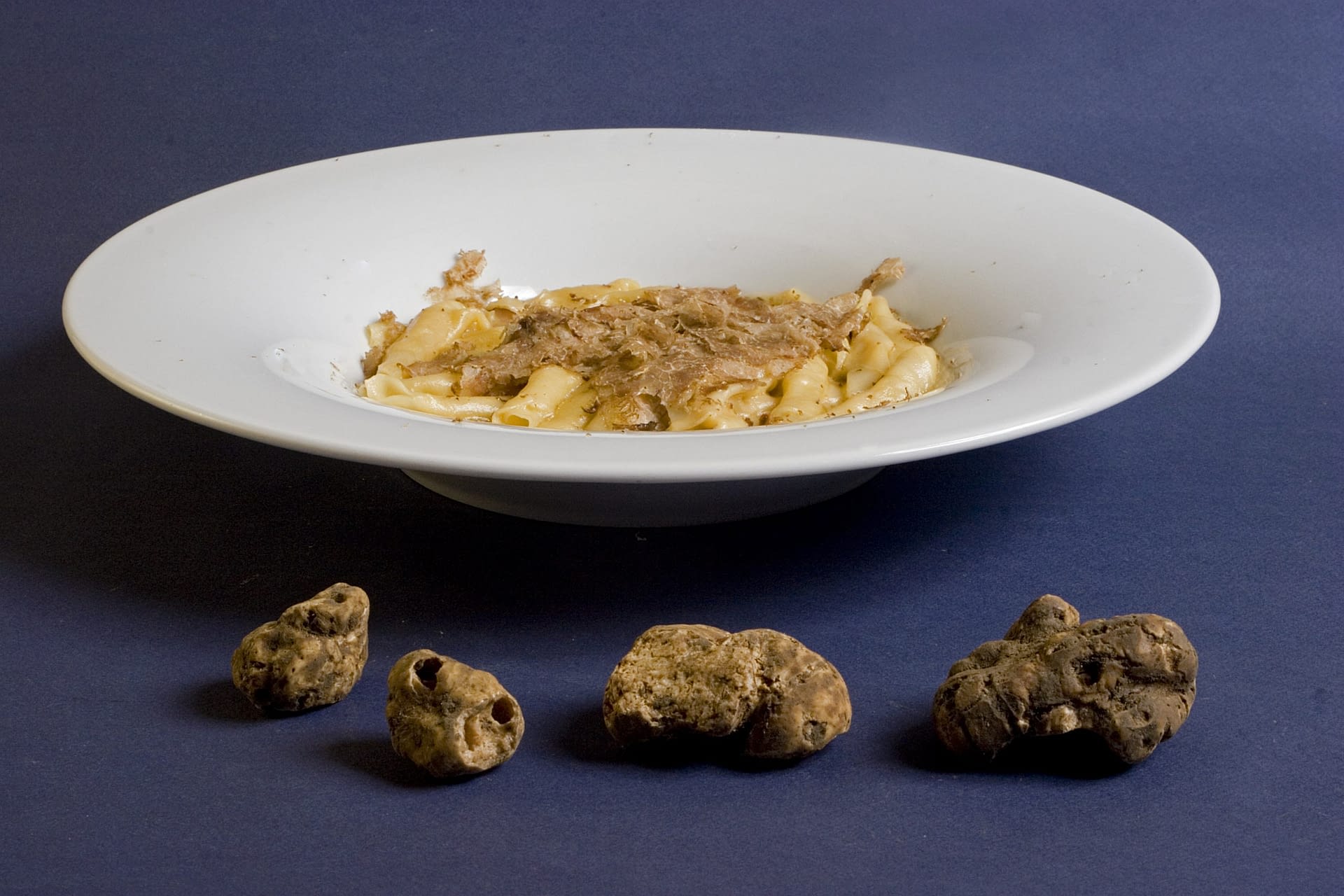 Exclusive Truffle Hunting with professional hunter Tours Slovenia